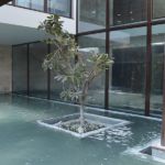 PRINCESS NOURA BEACH HOUSE - KSA